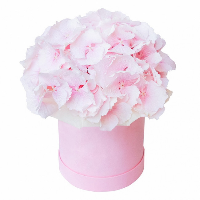 Букет цветов "Шляпная коробка из гортензий " Букет цветов "Шляпная коробка из гортензий "